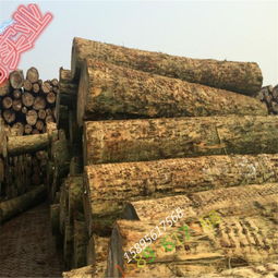 廠家直銷精品輻射松工地木材 品質(zhì)、優(yōu)勢與家具應(yīng)用